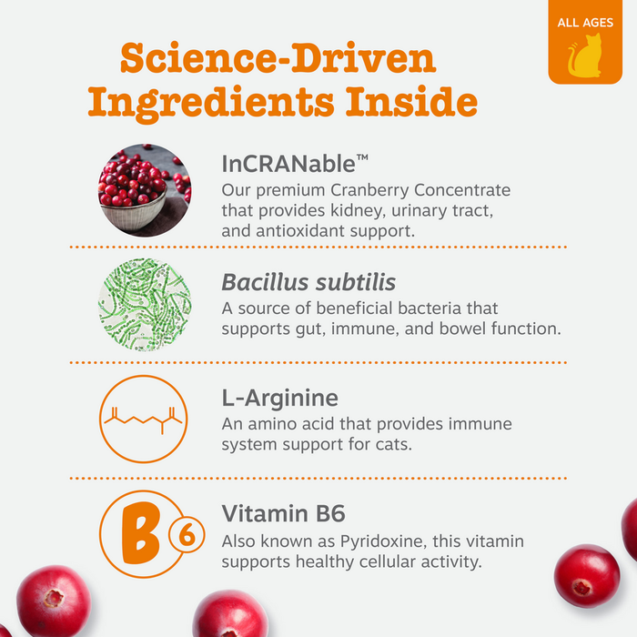 Infographic displaying key ingredients for urinary tract cat mousse including cranberry concentrate, beneficial bacteria, L-A