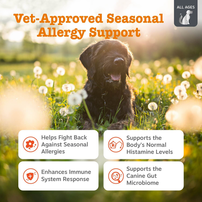 Black dog sitting in a field of white dandelions with product benefits listed below.