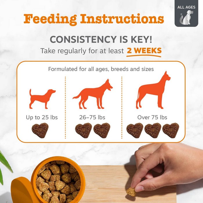 Feeding instructions guide showing dosage by dog size with silhouettes and heart-shaped treats in orange bowl.