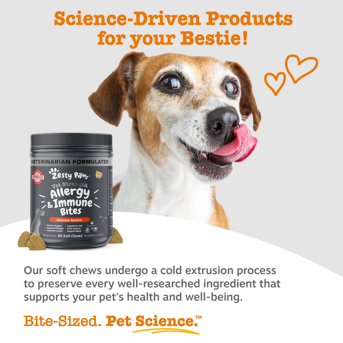 Dark jar of Zesty Paw vet strength allergy and immune bites for dogs with brown and white dog and loose treats shown.