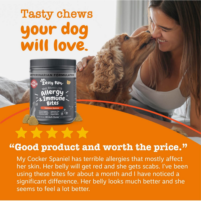 Dark container of Zesty Paw Vet Strength Allergy & Immune Bites for dogs with woman and brown dog.