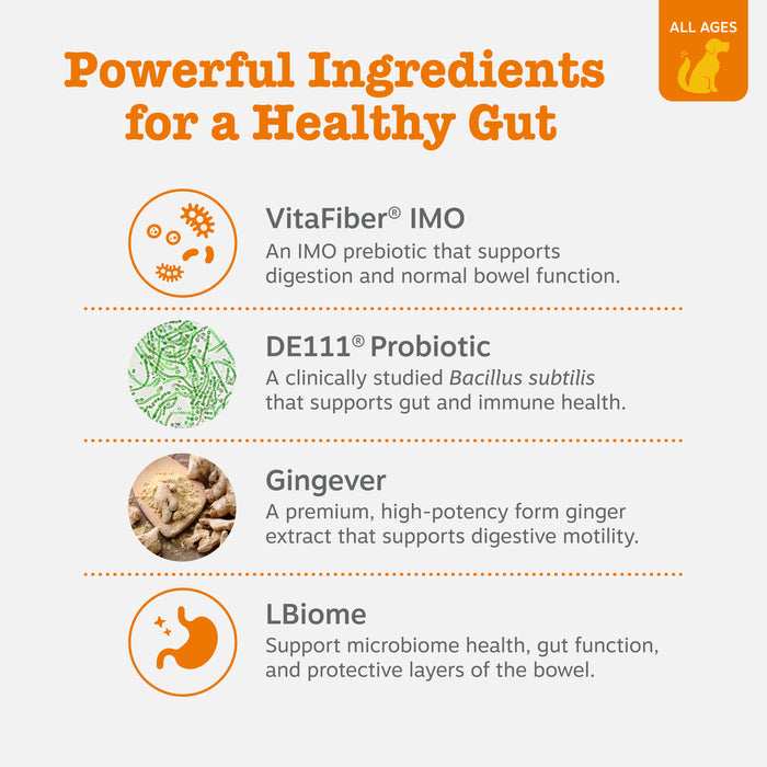 Infographic displaying four key ingredients: VitaFiber IMO prebiotic, DE111 probiotic, ginger extract, and LBiome for dog dig