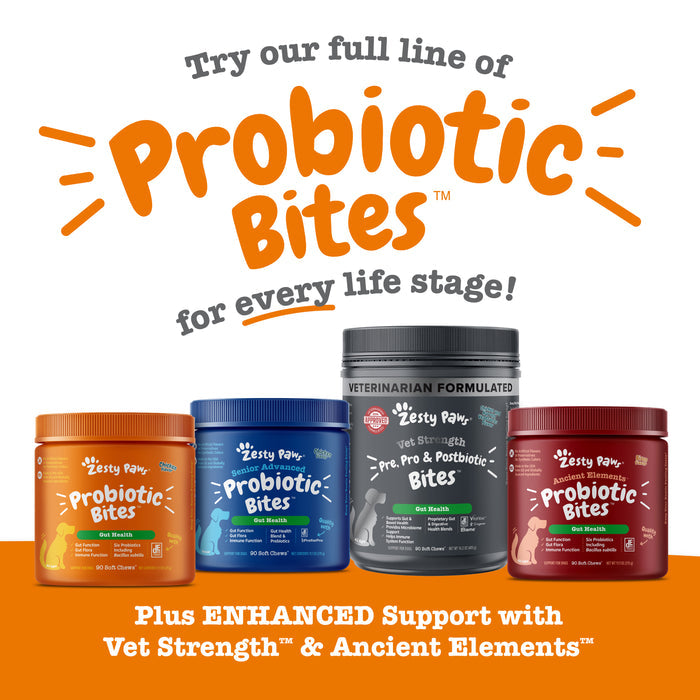 Three jars of Zesty Paw probiotic bites in orange, blue, and burgundy containers displayed side by side.