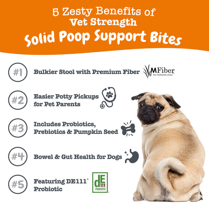 Tan and black pug sitting next to five numbered benefit points for dog digestive support product on orange and white backgrou