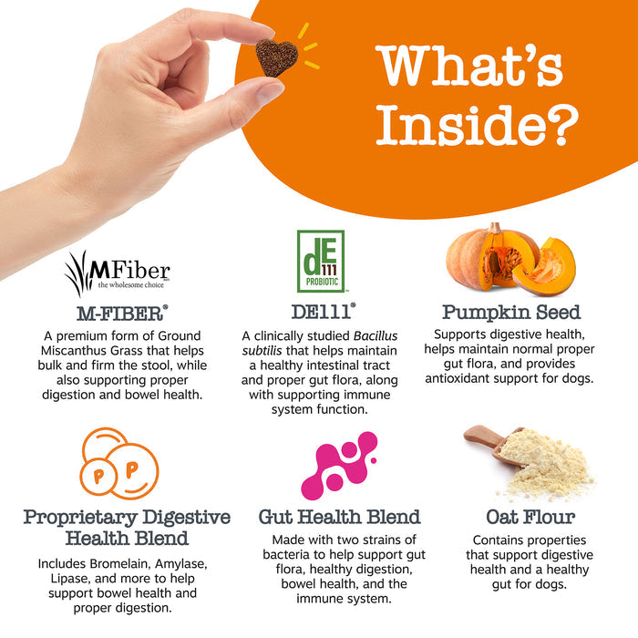 Hand holding small brown heart-shaped dog treat with ingredient icons for M-Fiber, DE111 probiotic, pumpkin seed, digestive b