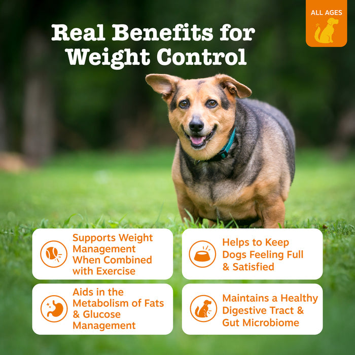 Brown and tan dog standing on grass with product benefit claims displayed in orange and white text boxes below.