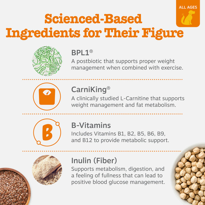 Infographic showing dog treat ingredients including BPL1 postbiotic, CarniKing L-Carnitine, B-Vitamins, and Inulin Fiber with