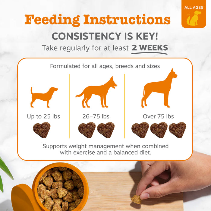 Feeding instructions for dog treats showing dosage by weight with silhouettes of dogs and heart-shaped bites in an orange bow