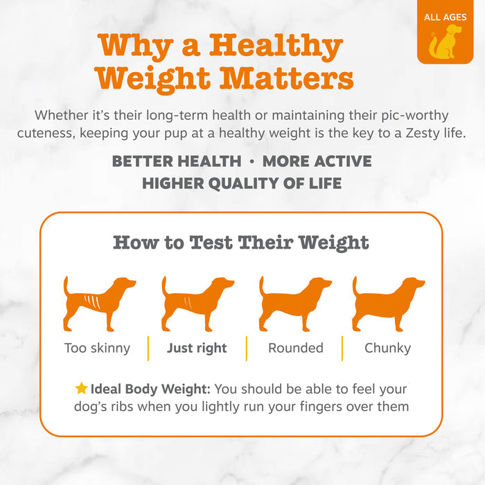 Infographic showing dog body condition chart with four orange silhouettes labeled "Too skinny," "Just right," "Rounded," and