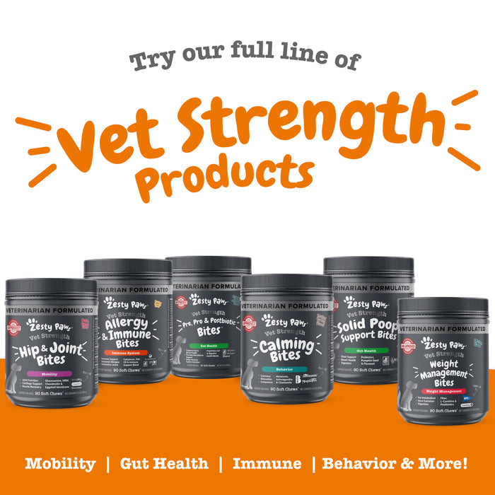 Six dark containers of Zesty Paw veterinary dog treats in various formulas displayed against an orange background.