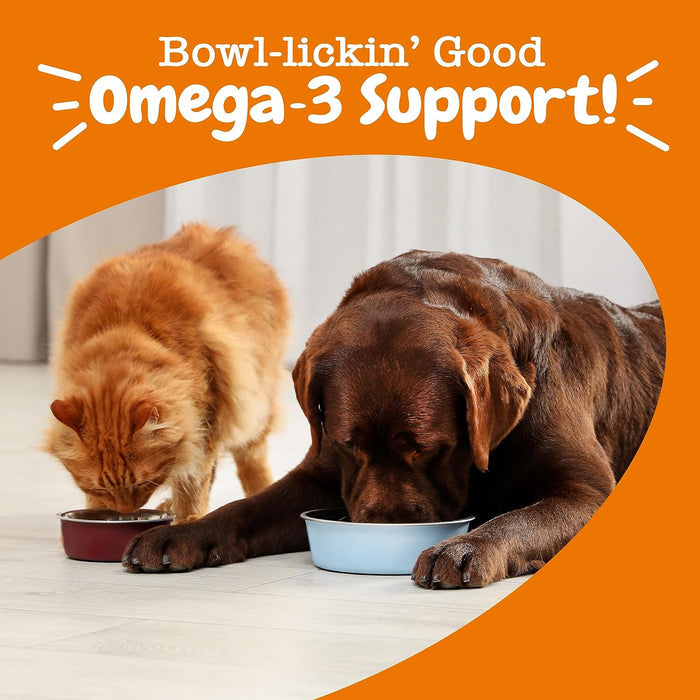 Orange tabby cat and brown dog eating from bowls on white floor with orange background.