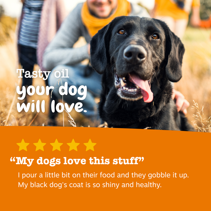 Black Labrador with tongue out sitting with people outdoors, with five-star review text below.