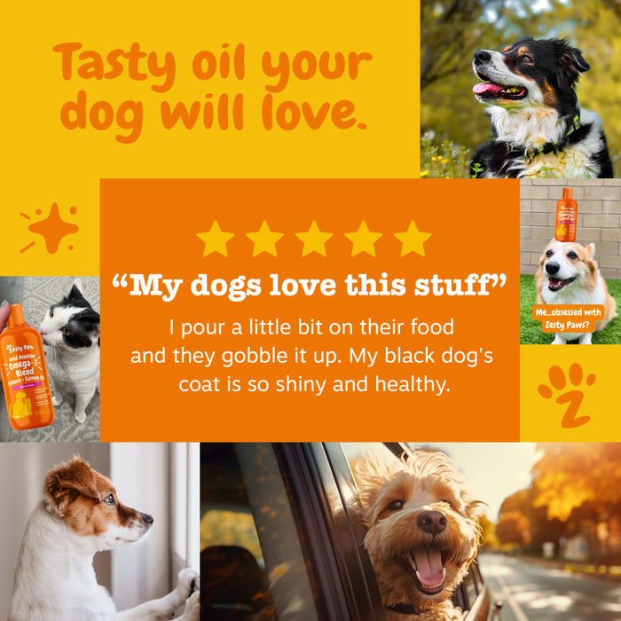 Bottle of fish oil supplement with orange label surrounded by photos of dogs and customer testimonial text.