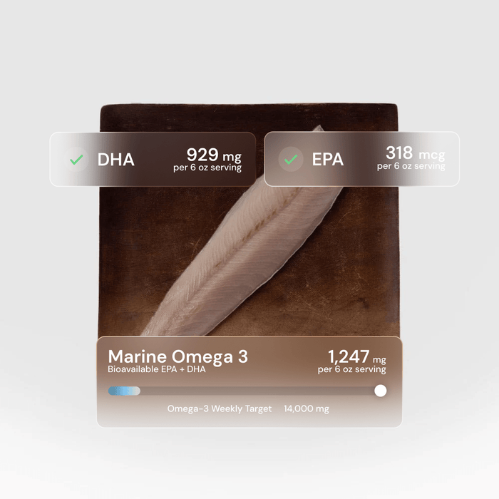 Yellowtail, Sashimi Loin - SEATOPIA